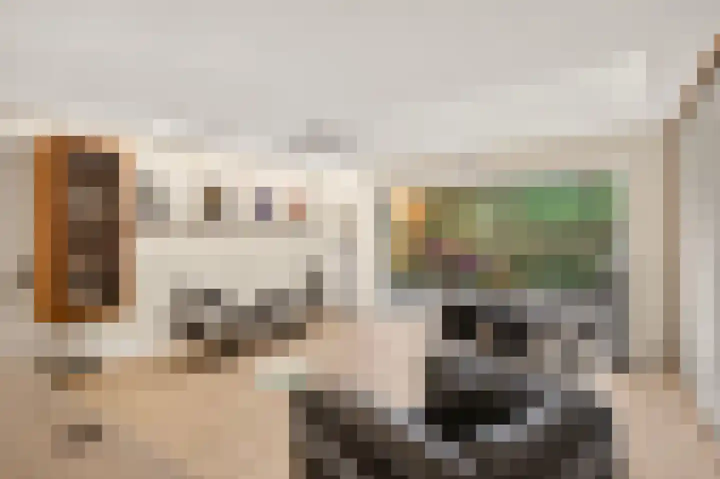 Diepenbrocklaan 31 Ede thumbnail 24