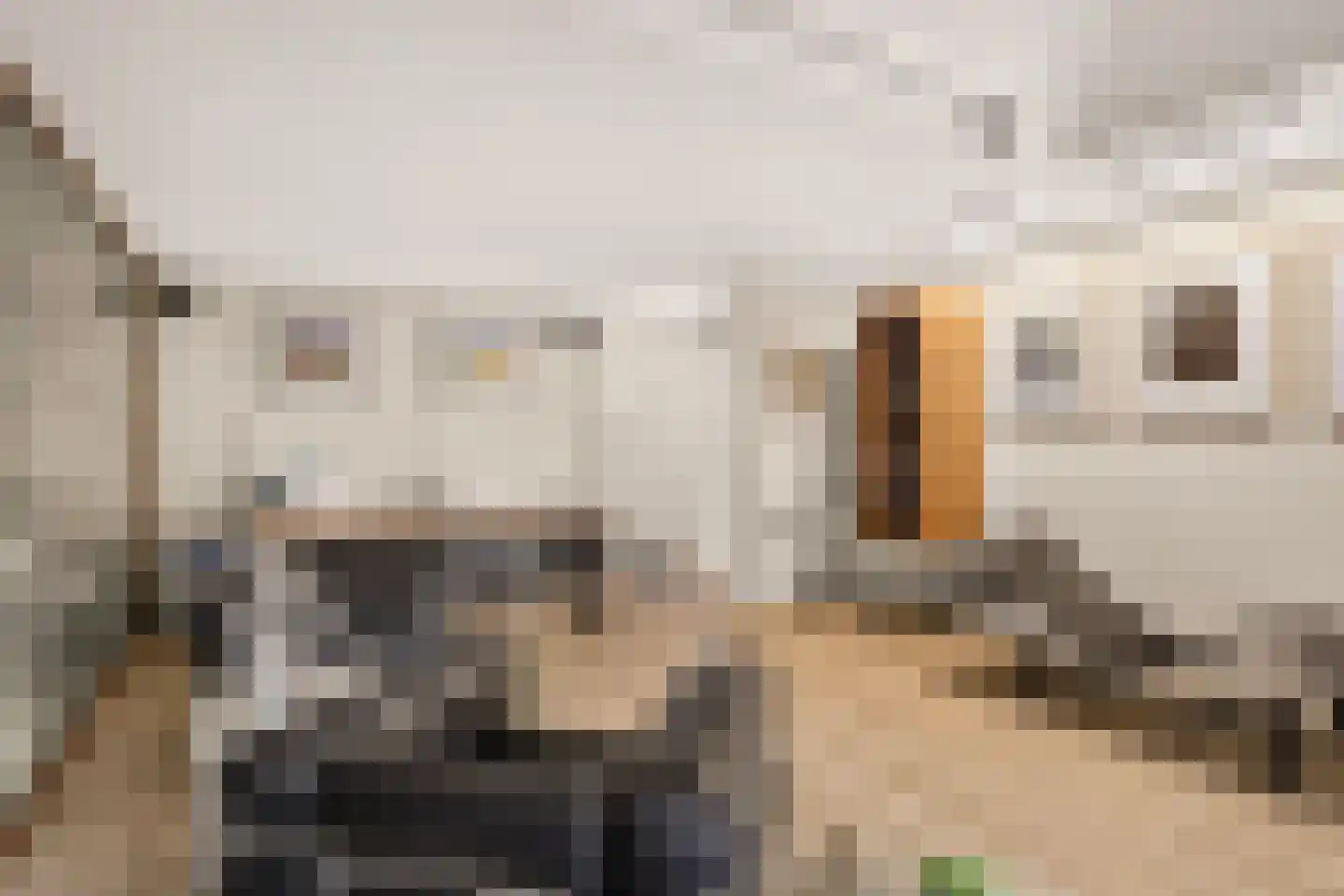 Diepenbrocklaan 31 Ede thumbnail 25