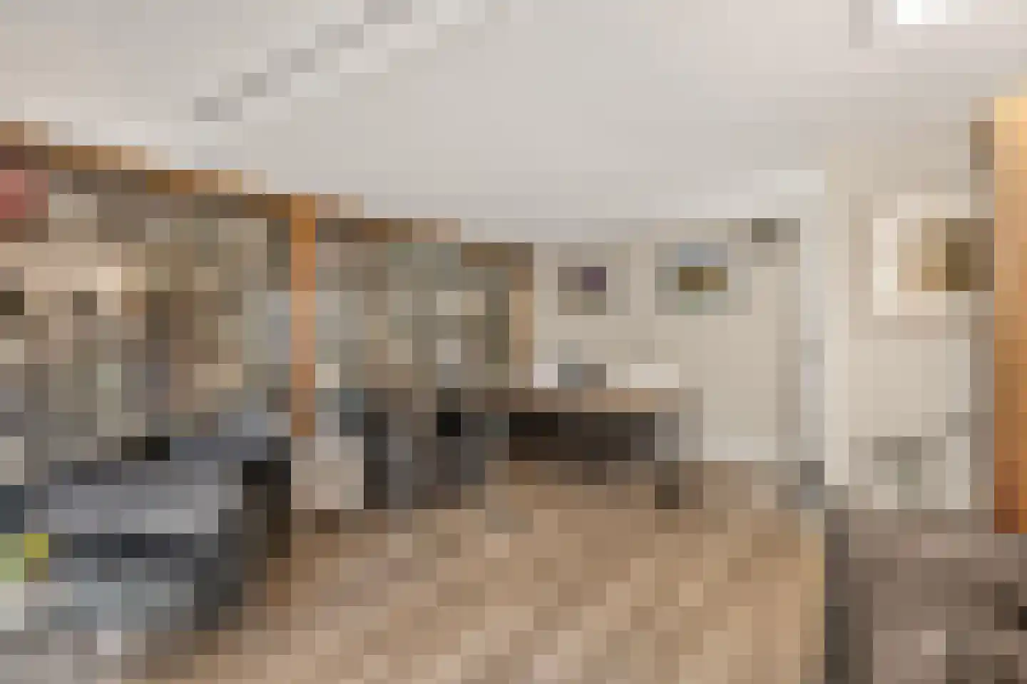 Diepenbrocklaan 31 Ede thumbnail 26