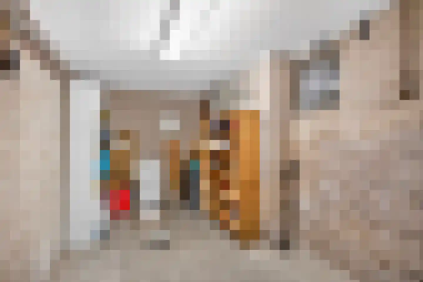 Diepenbrocklaan 31 Ede thumbnail 28