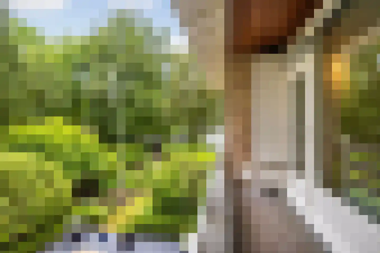 Diepenbrocklaan 31 Ede thumbnail 36