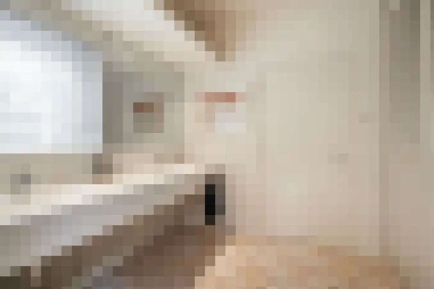 Diepenbrocklaan 31 Ede thumbnail 39