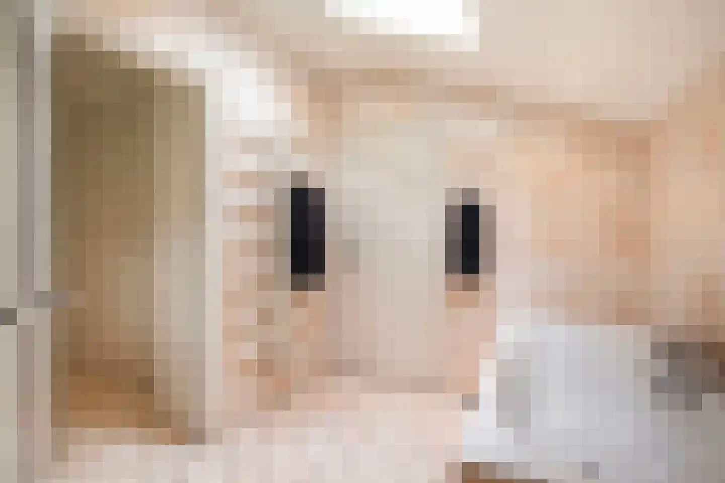 Diepenbrocklaan 31 Ede thumbnail 41