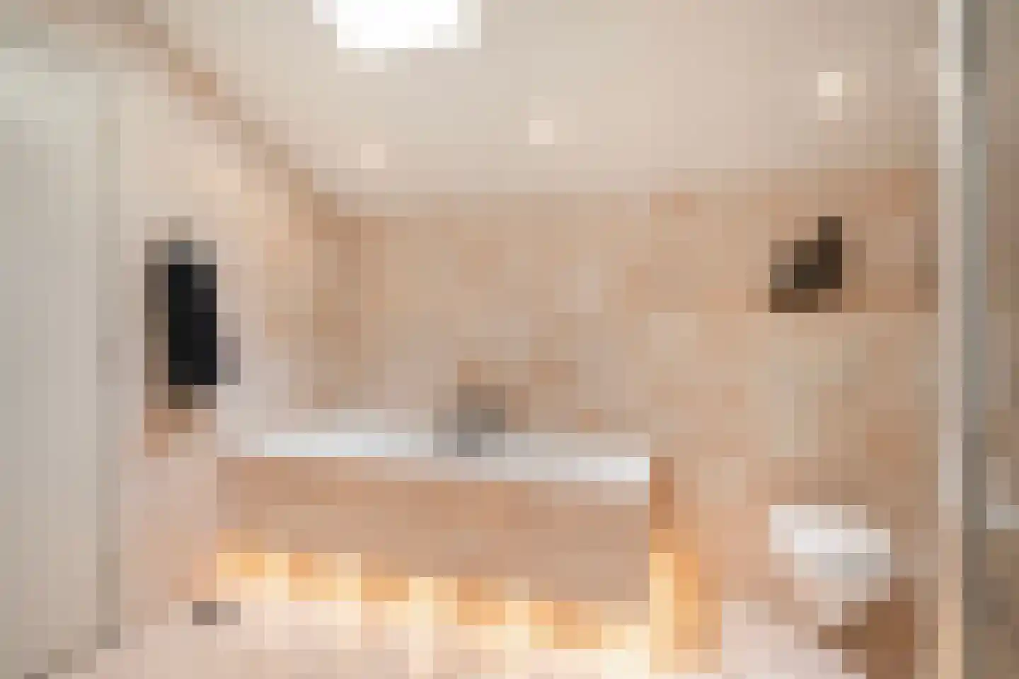 Diepenbrocklaan 31 Ede thumbnail 42