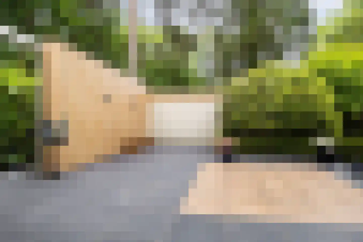 Diepenbrocklaan 31 Ede thumbnail 59