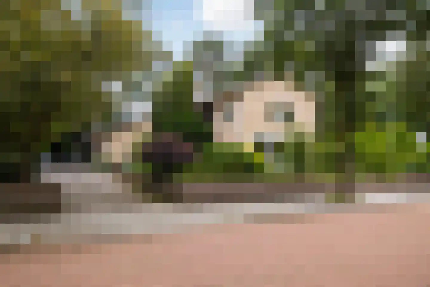 Diepenbrocklaan 31 Ede thumbnail 6