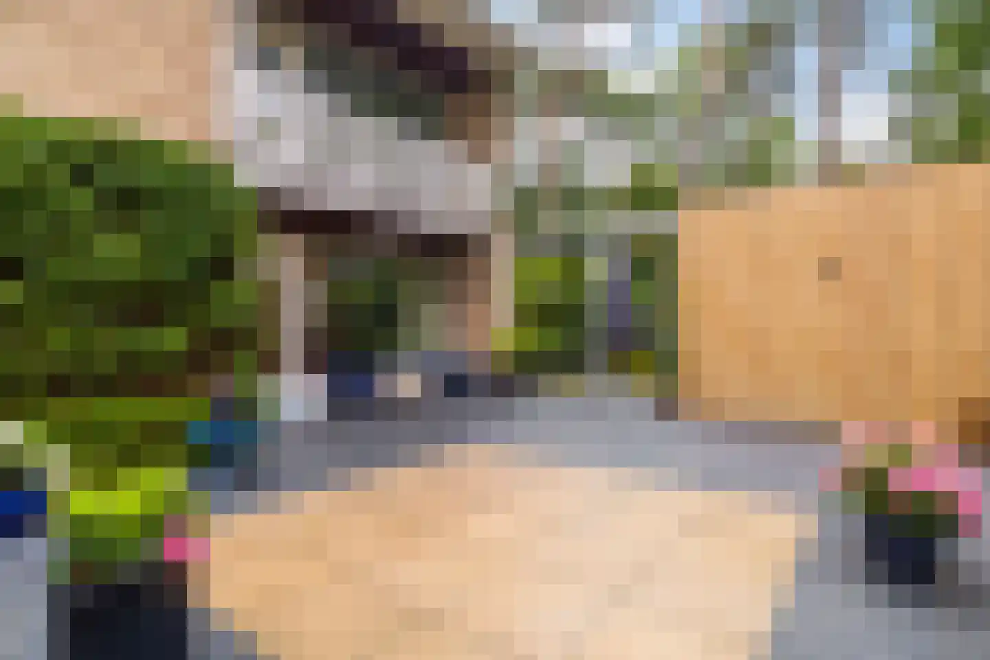 Diepenbrocklaan 31 Ede thumbnail 61