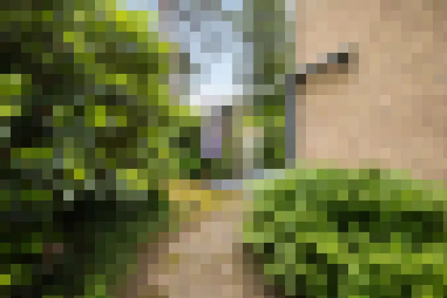 Diepenbrocklaan 31 Ede thumbnail 63