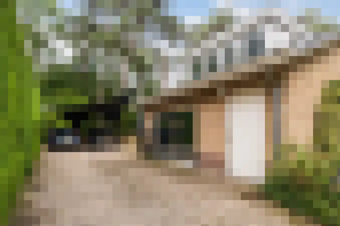 Diepenbrocklaan 31 Ede thumbnail 67