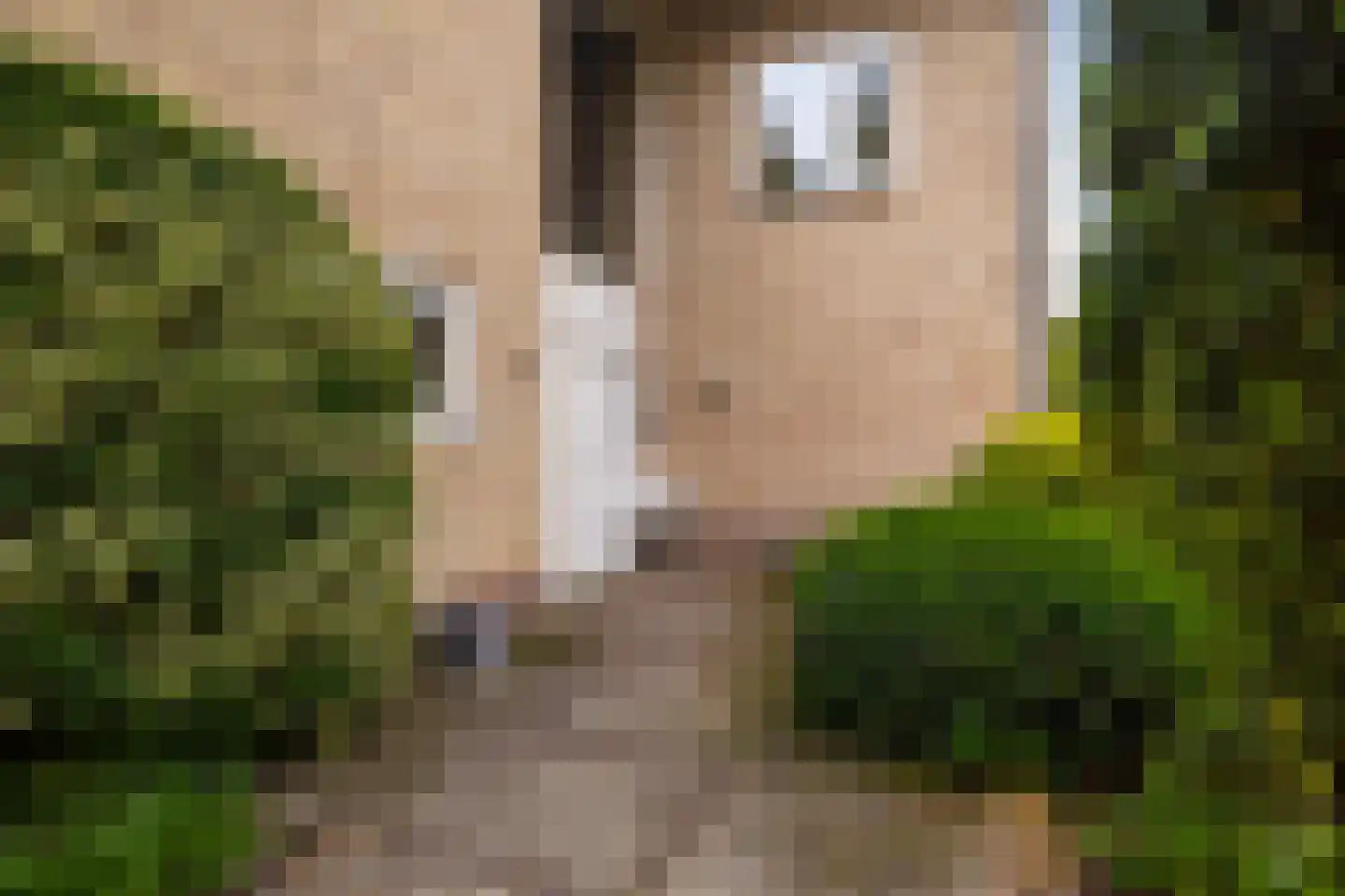 Diepenbrocklaan 31 Ede thumbnail 68