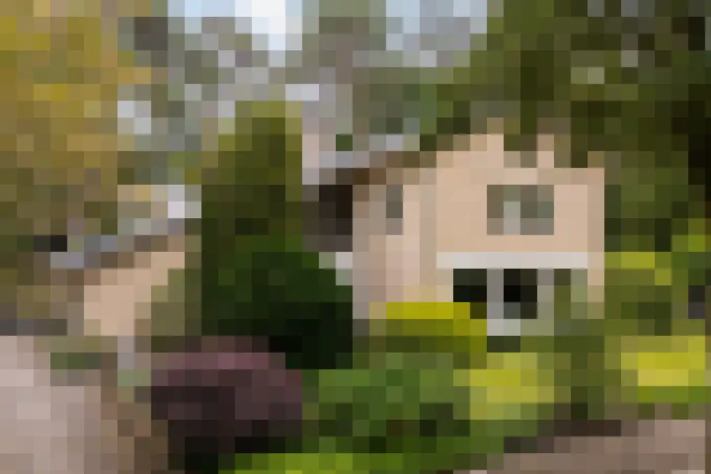 Diepenbrocklaan 31 Ede thumbnail 69