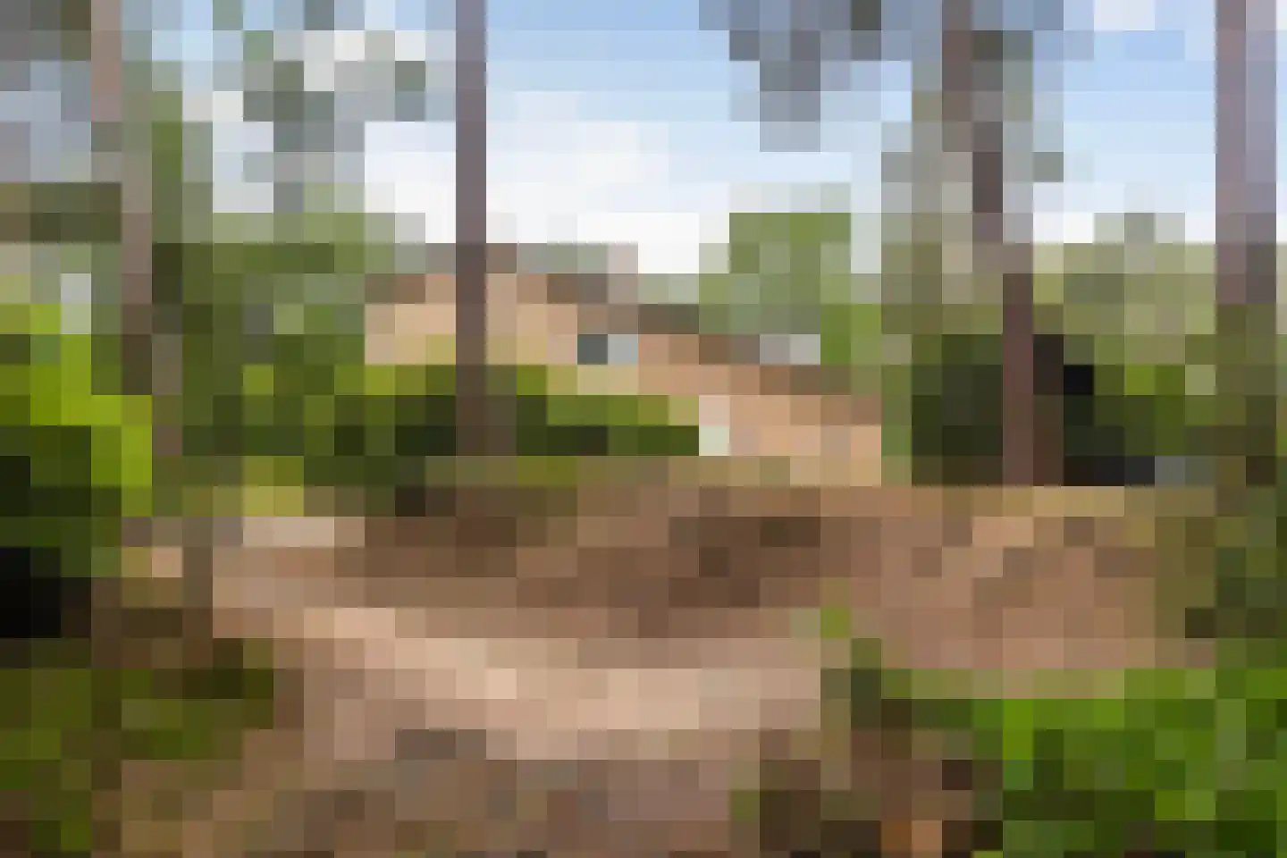Diepenbrocklaan 31 Ede thumbnail 71