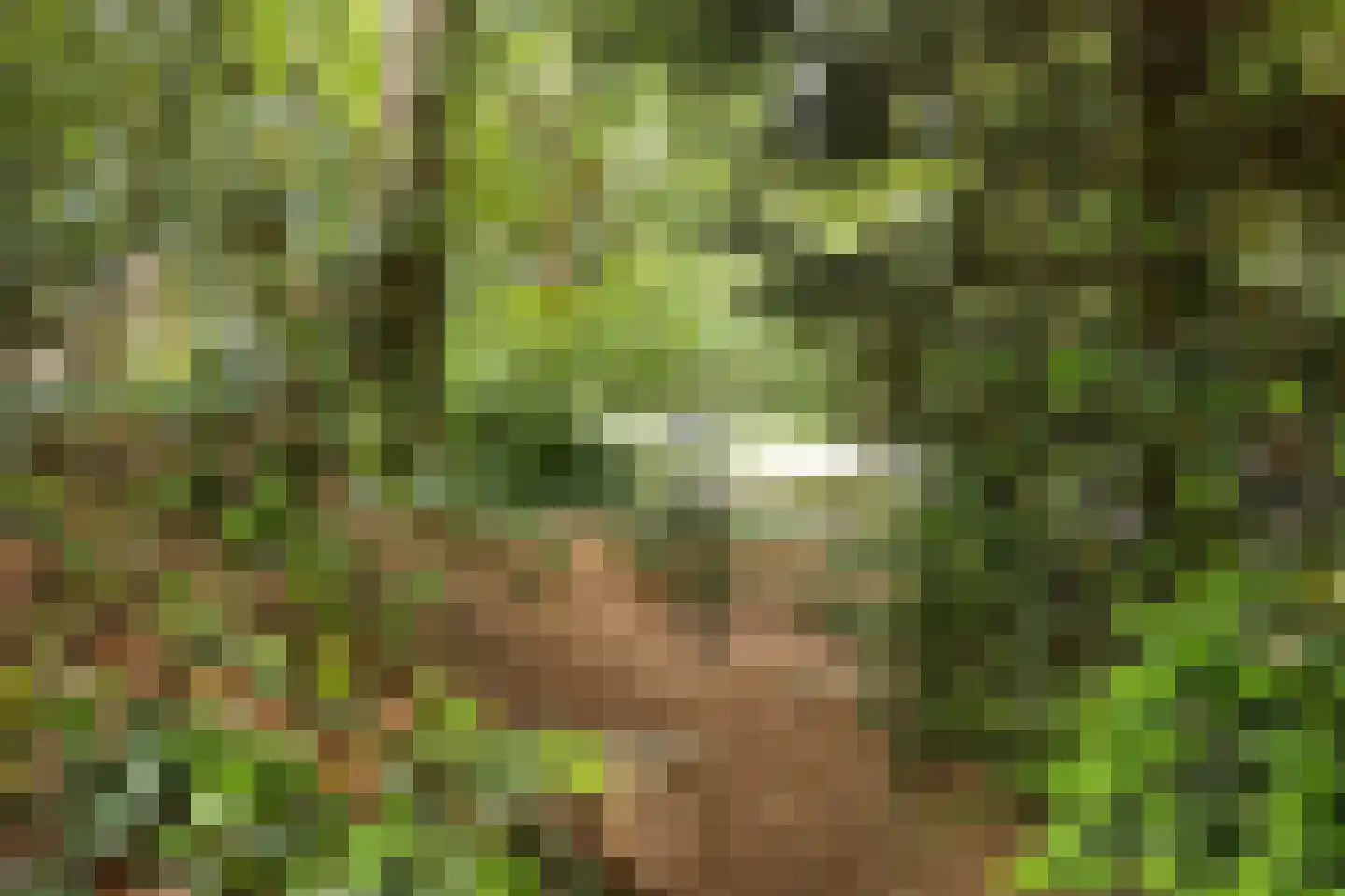 Diepenbrocklaan 31 Ede thumbnail 72