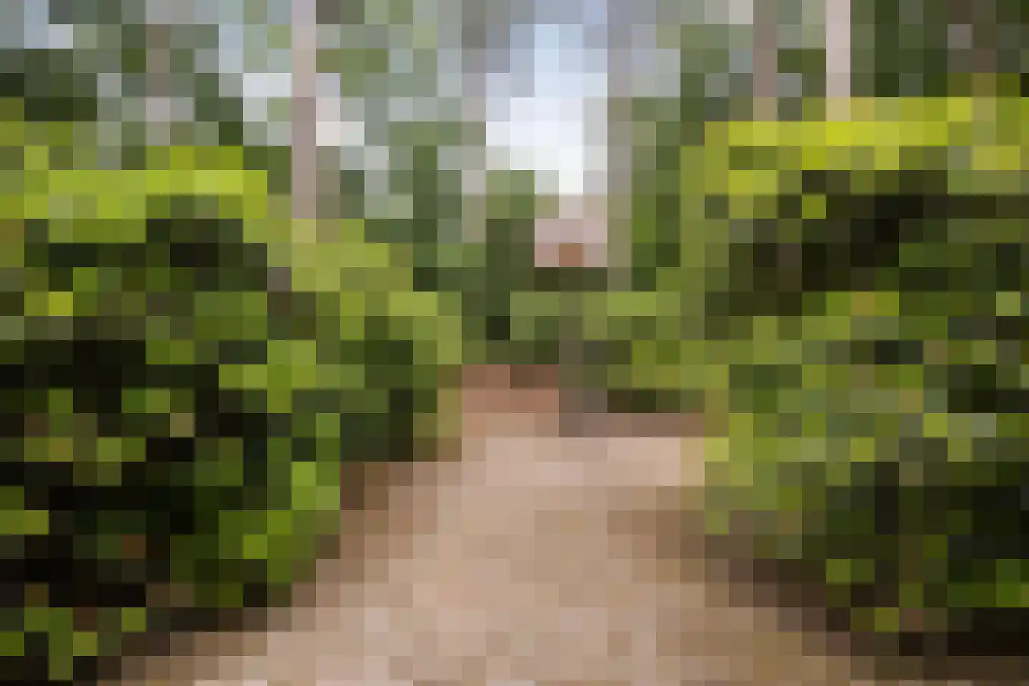 Diepenbrocklaan 31 Ede thumbnail 73