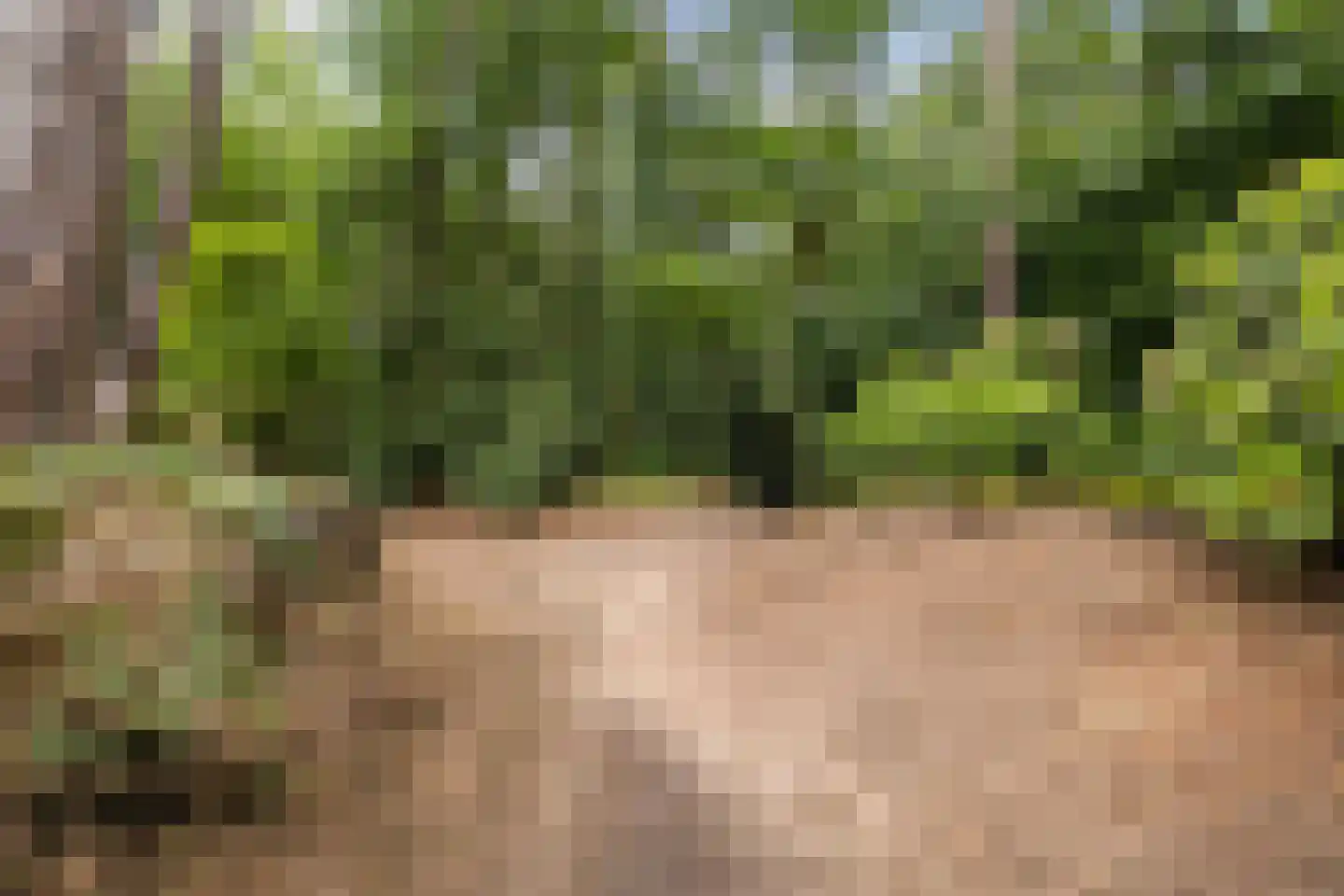 Diepenbrocklaan 31 Ede thumbnail 74