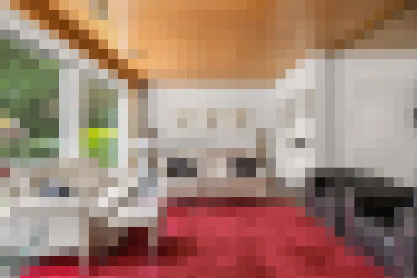 Diepenbrocklaan 31 Ede thumbnail 9