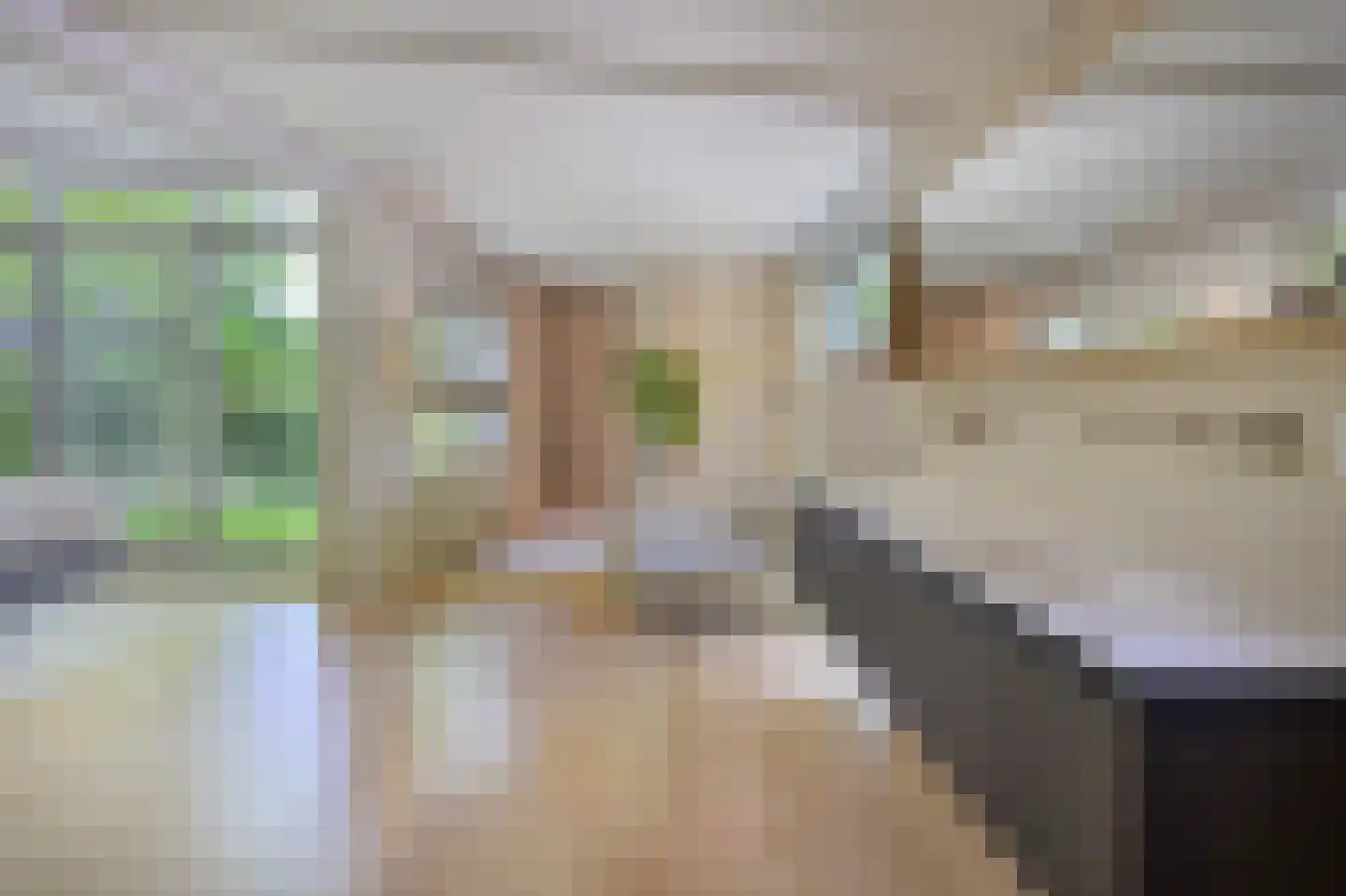 Diepenbrocklaan 37 Arnhem thumbnail 17