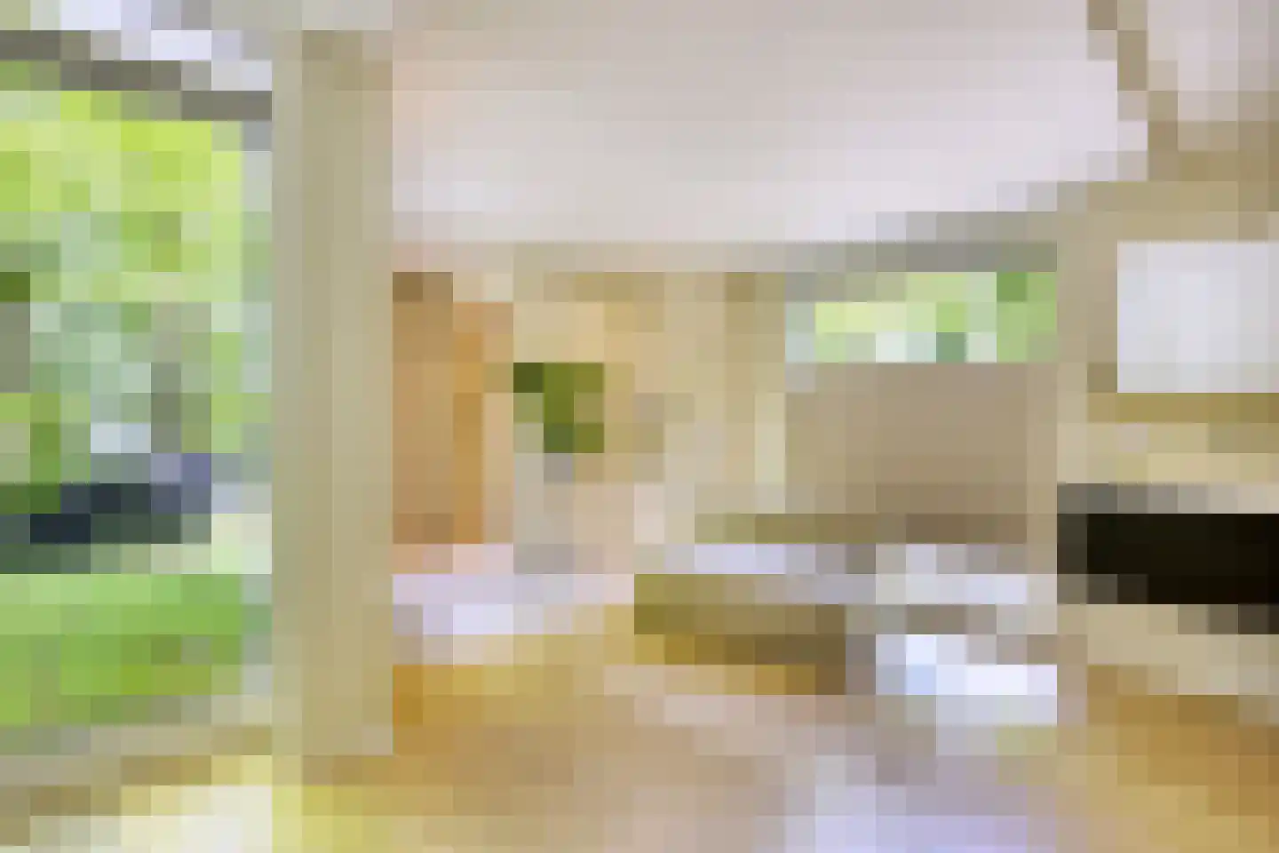 Diepenbrocklaan 37 Arnhem thumbnail 20