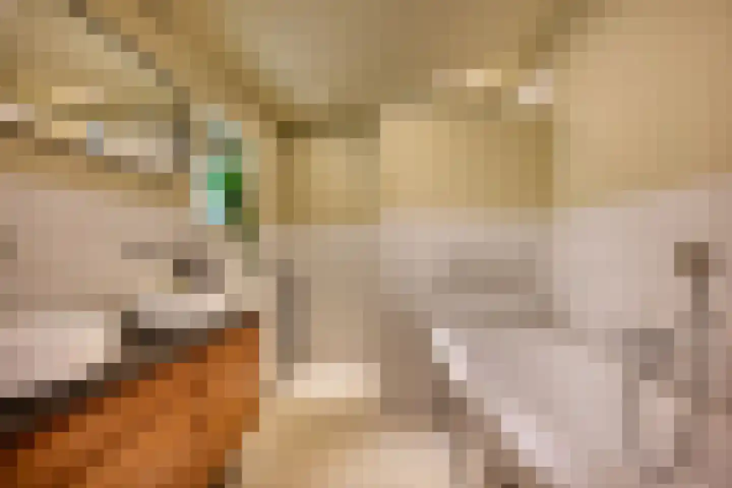Diepenbrocklaan 37 Arnhem thumbnail 29