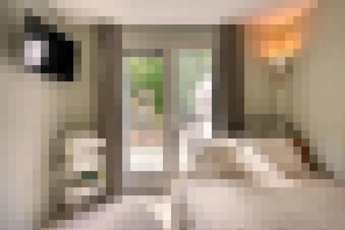 Diepenbrocklaan 37 Arnhem thumbnail 31