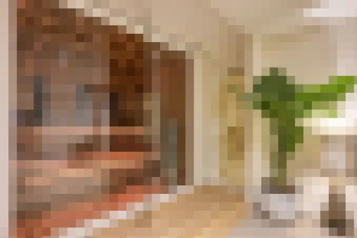 Diepenbrocklaan 37 Arnhem thumbnail 39