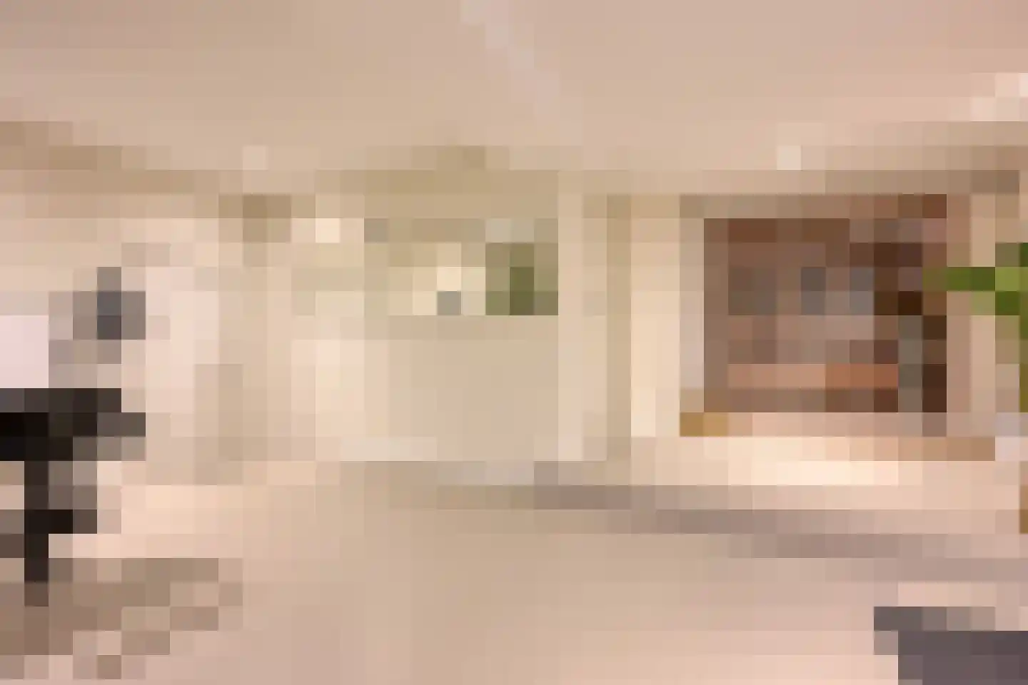 Diepenbrocklaan 37 Arnhem thumbnail 42