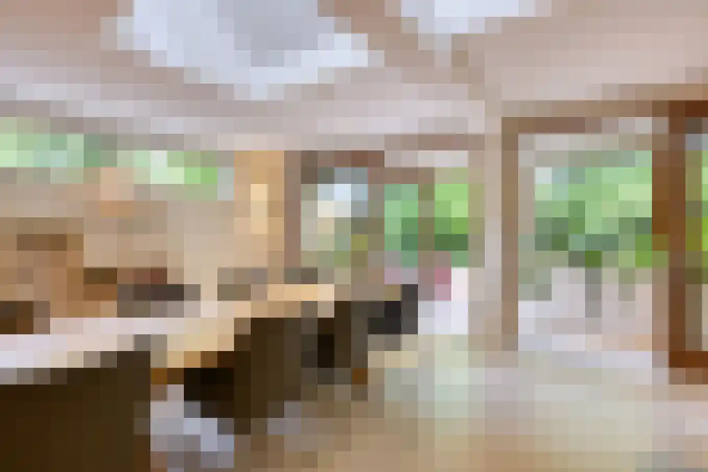 Diepenbrocklaan 37 Arnhem thumbnail 46