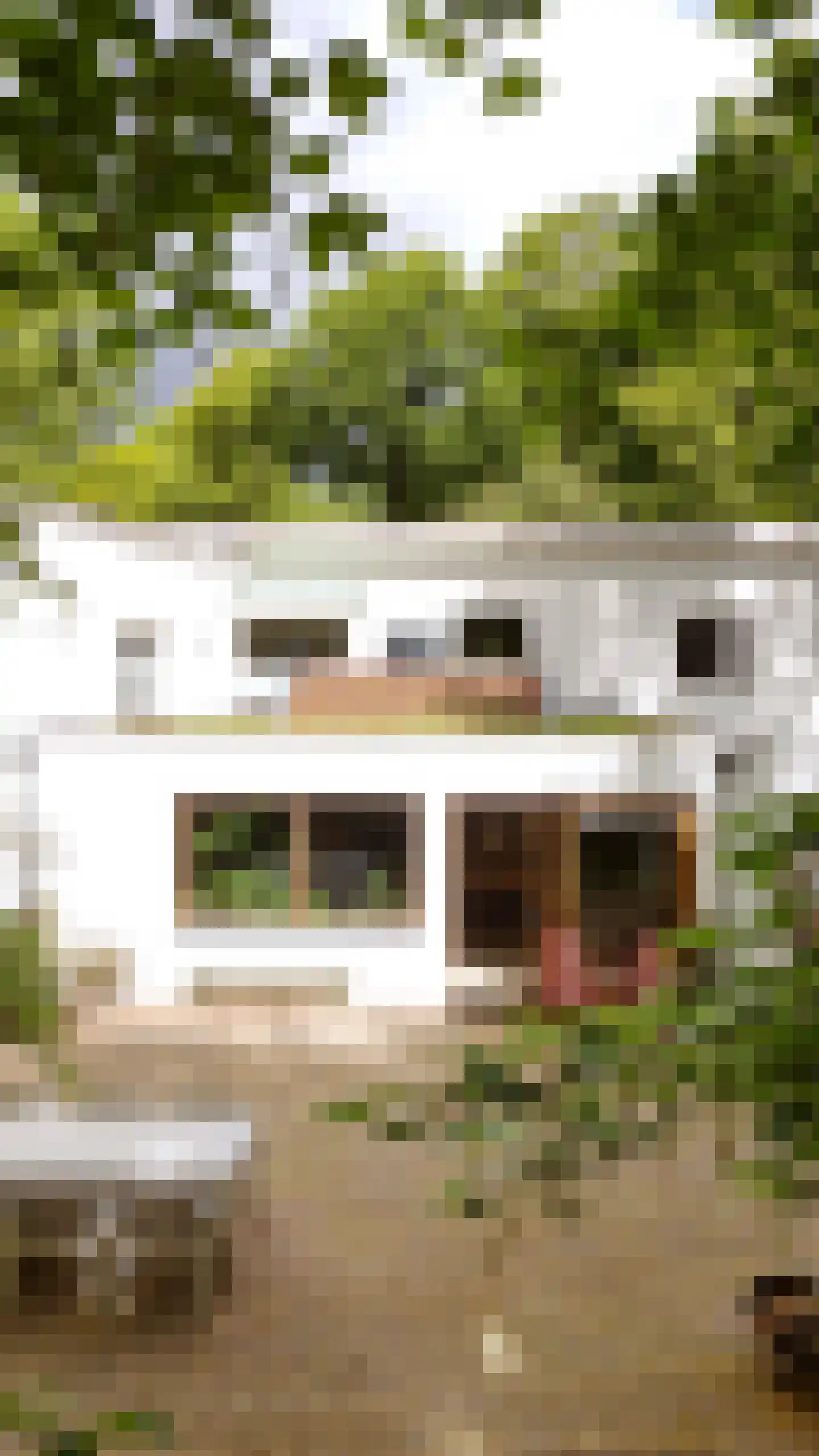 Diepenbrocklaan 37 Arnhem thumbnail 59