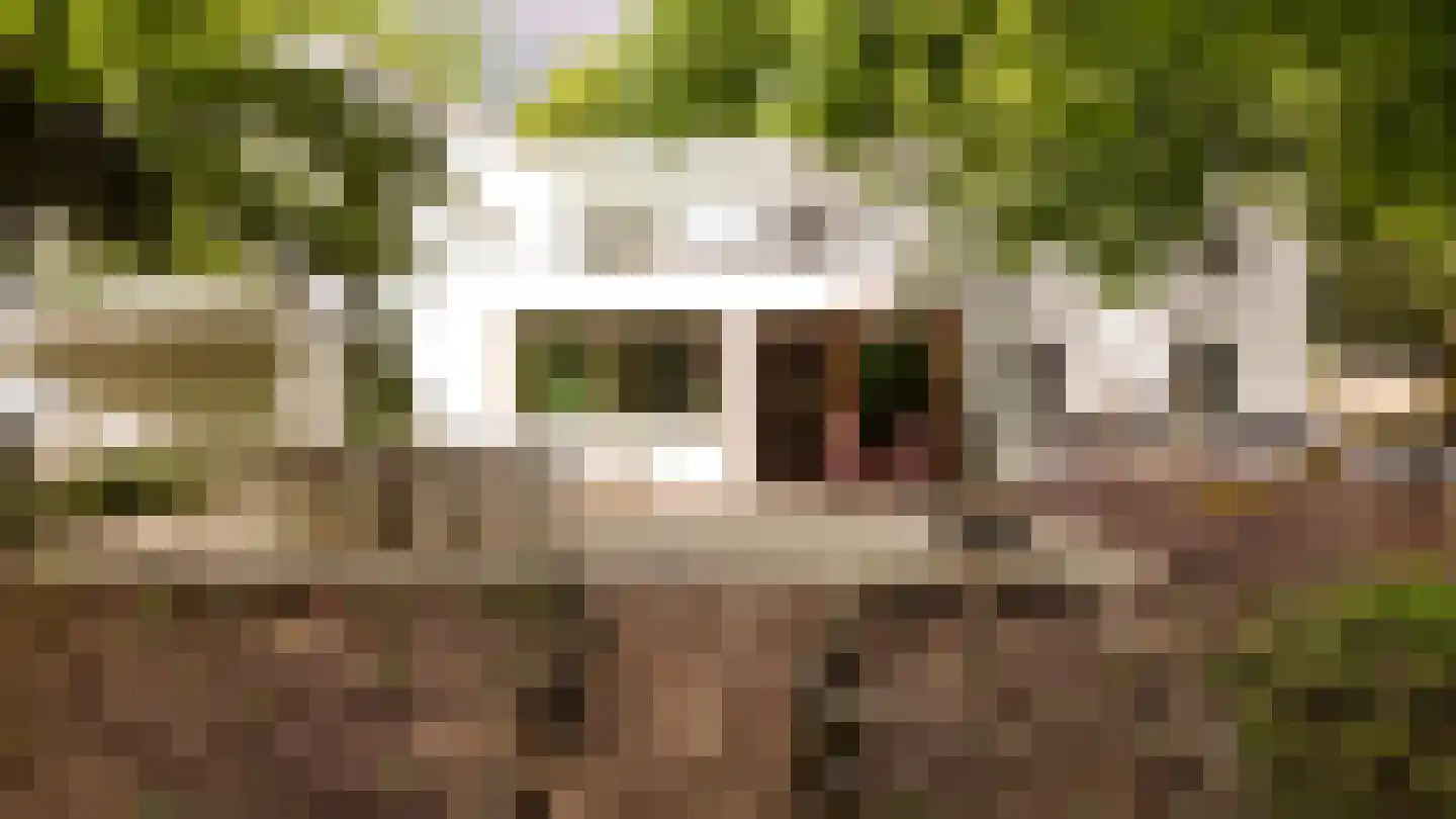 Diepenbrocklaan 37 Arnhem thumbnail 60