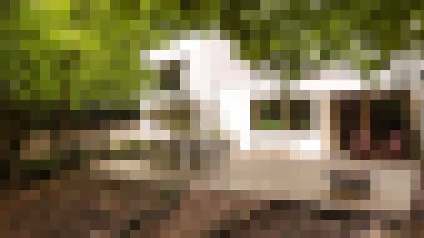 Diepenbrocklaan 37 Arnhem thumbnail 61