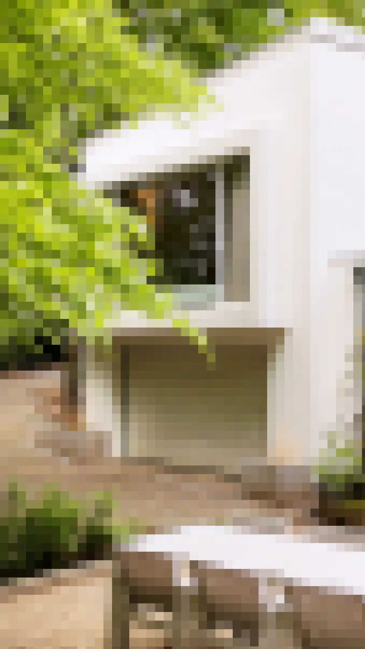 Diepenbrocklaan 37 Arnhem thumbnail 62