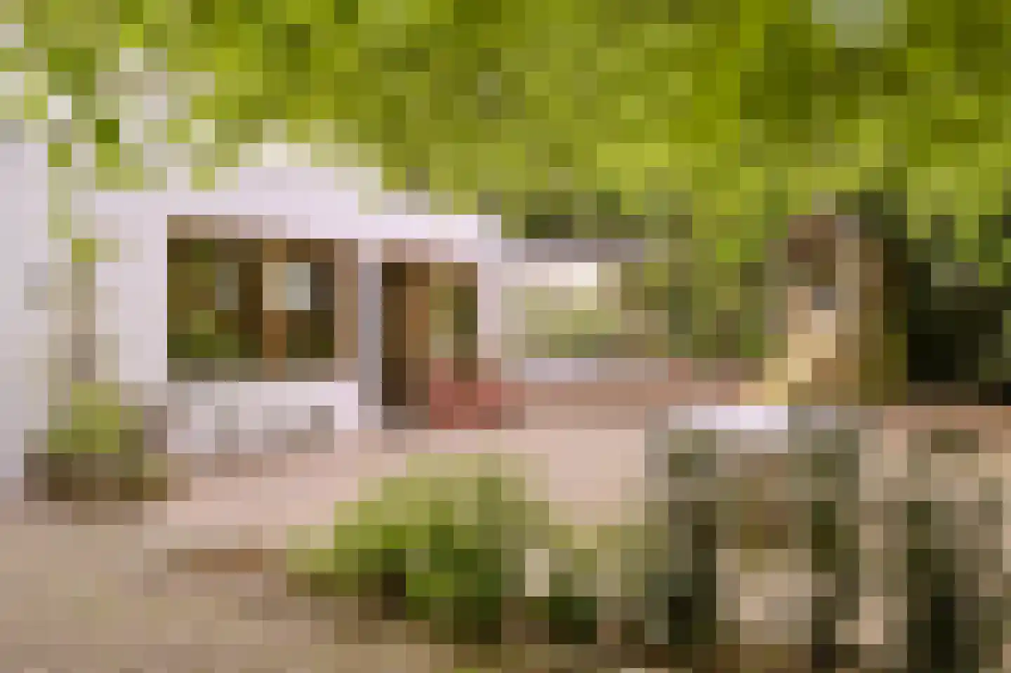 Diepenbrocklaan 37 Arnhem thumbnail 64