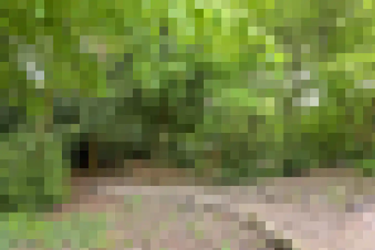 Diepenbrocklaan 37 Arnhem thumbnail 65