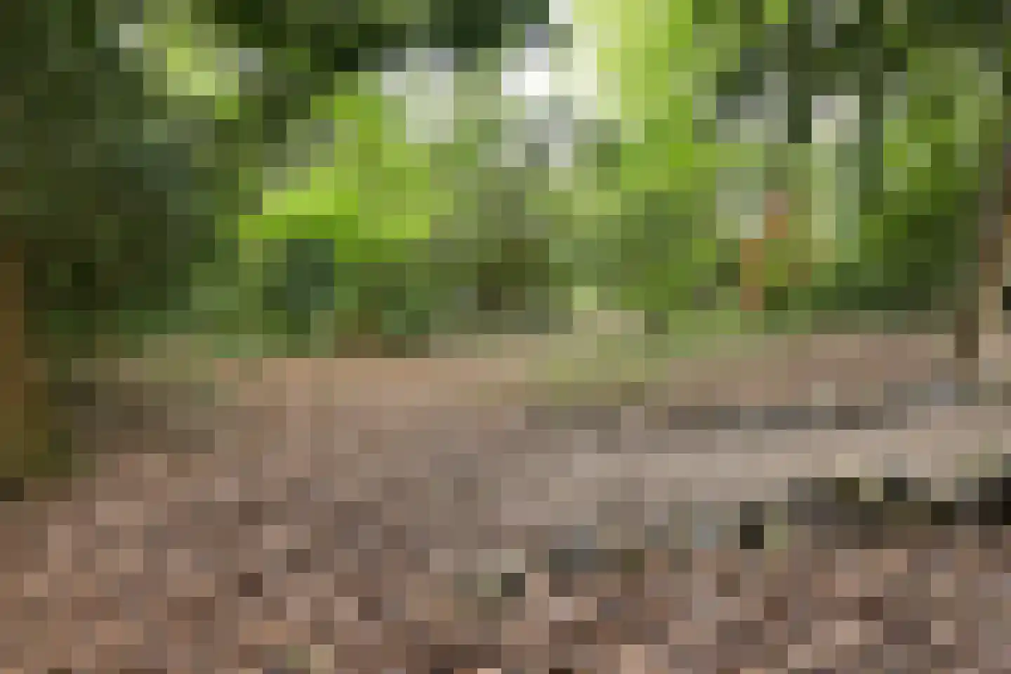 Diepenbrocklaan 37 Arnhem thumbnail 66