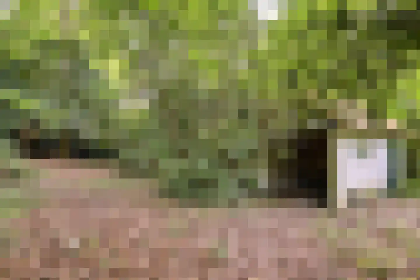 Diepenbrocklaan 37 Arnhem thumbnail 67