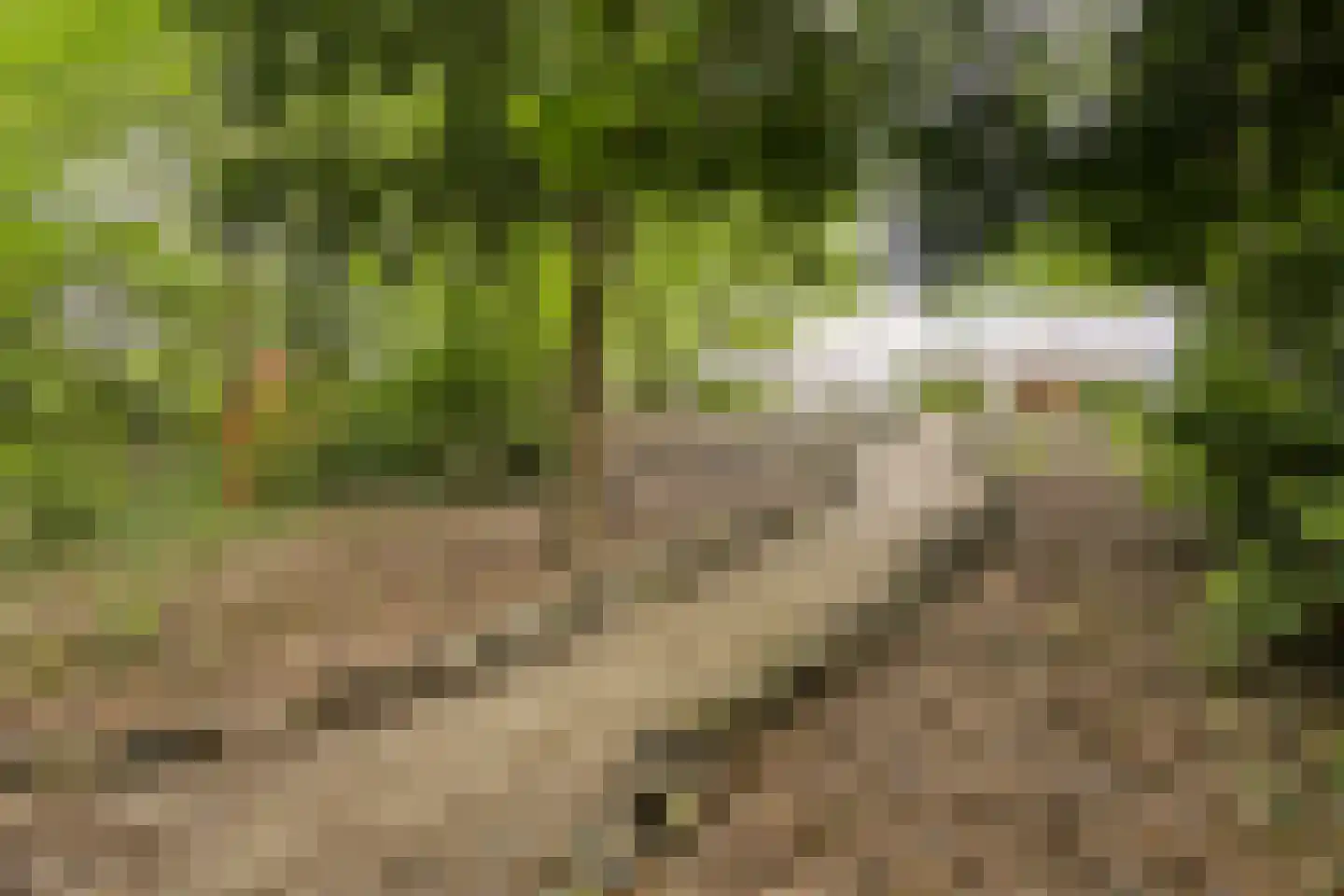 Diepenbrocklaan 37 Arnhem thumbnail 68