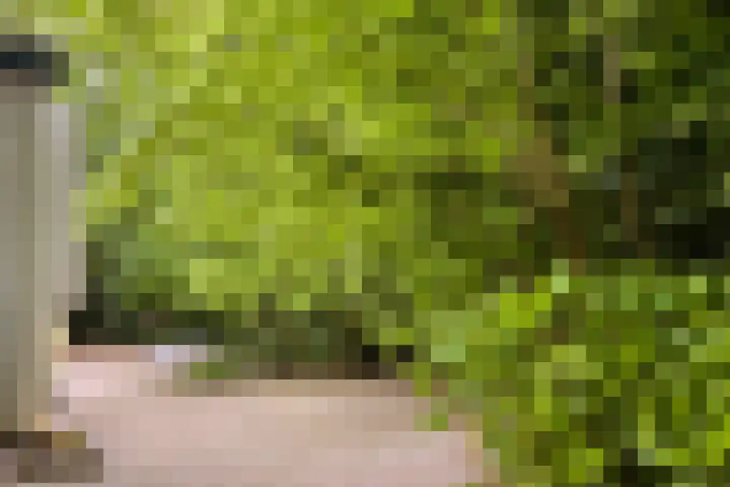 Diepenbrocklaan 37 Arnhem thumbnail 69