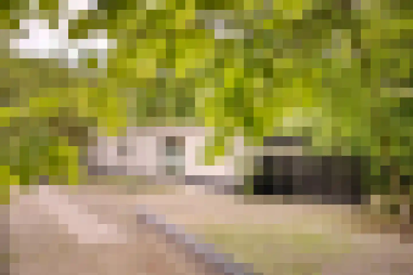 Diepenbrocklaan 37 Arnhem thumbnail 71