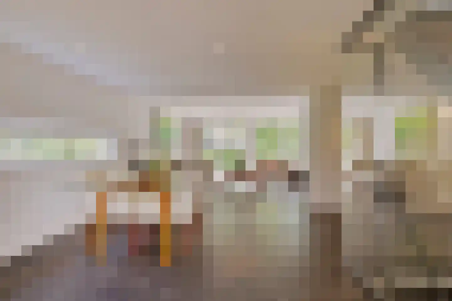 Diepenbrocklaan 4 Ede thumbnail 10
