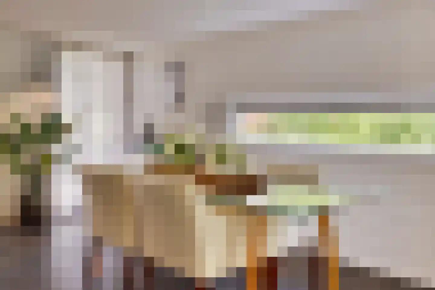 Diepenbrocklaan 4 Ede thumbnail 12
