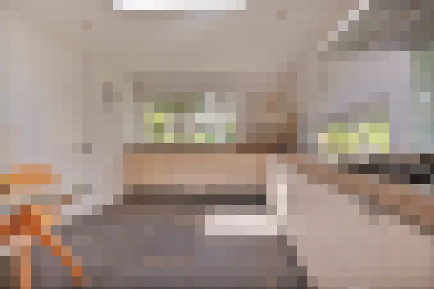 Diepenbrocklaan 4 Ede thumbnail 12