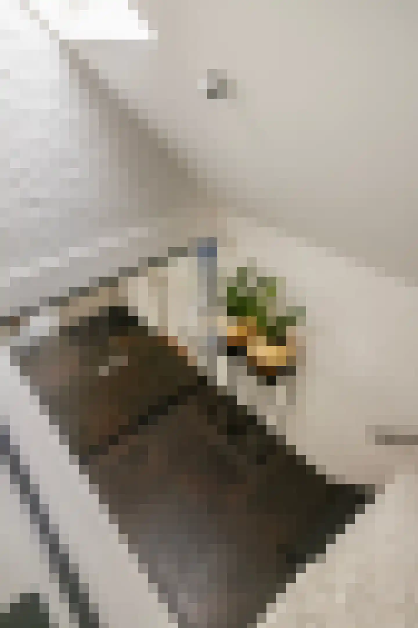 Diepenbrocklaan 4 Ede thumbnail 27