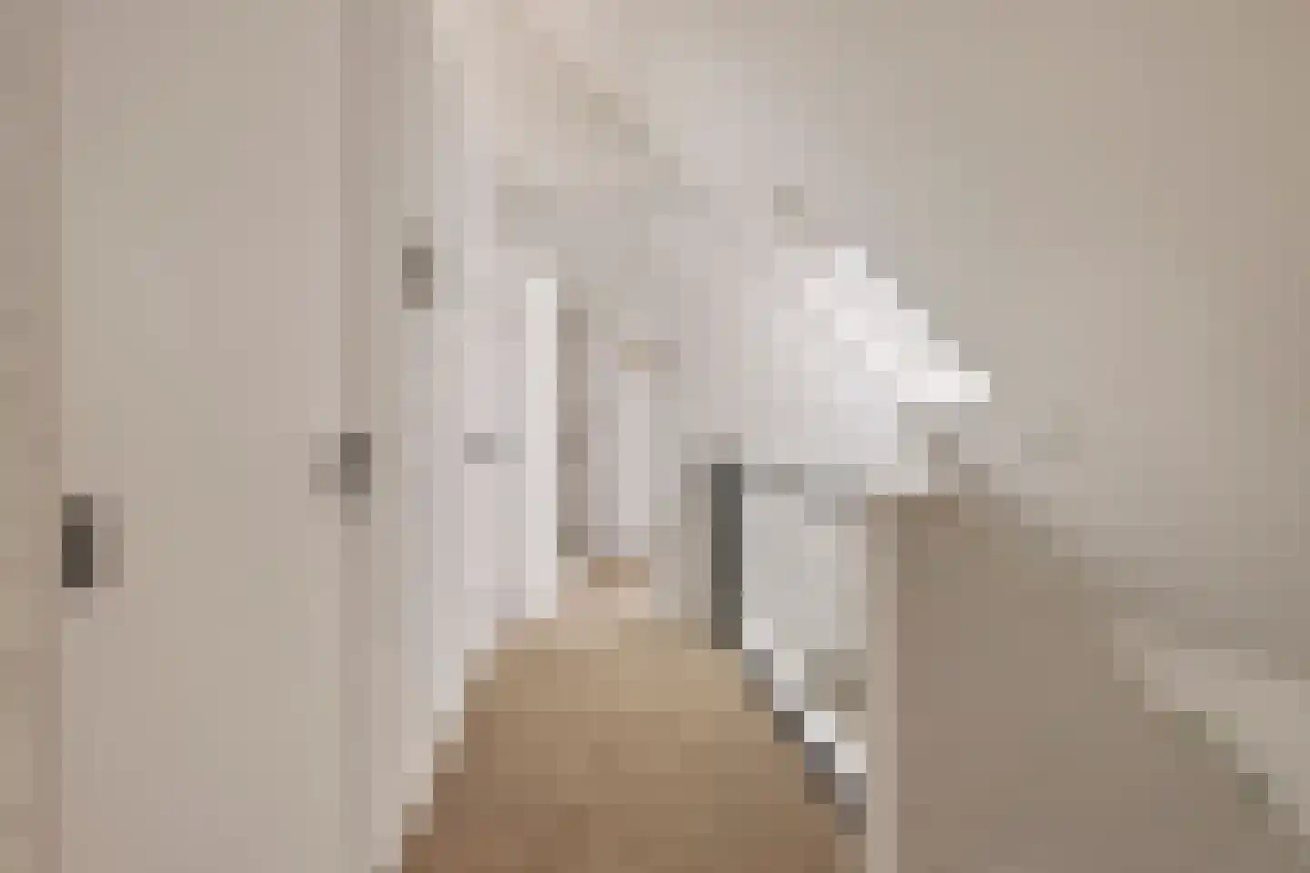 Diepenbrocklaan 4 Ede thumbnail 20