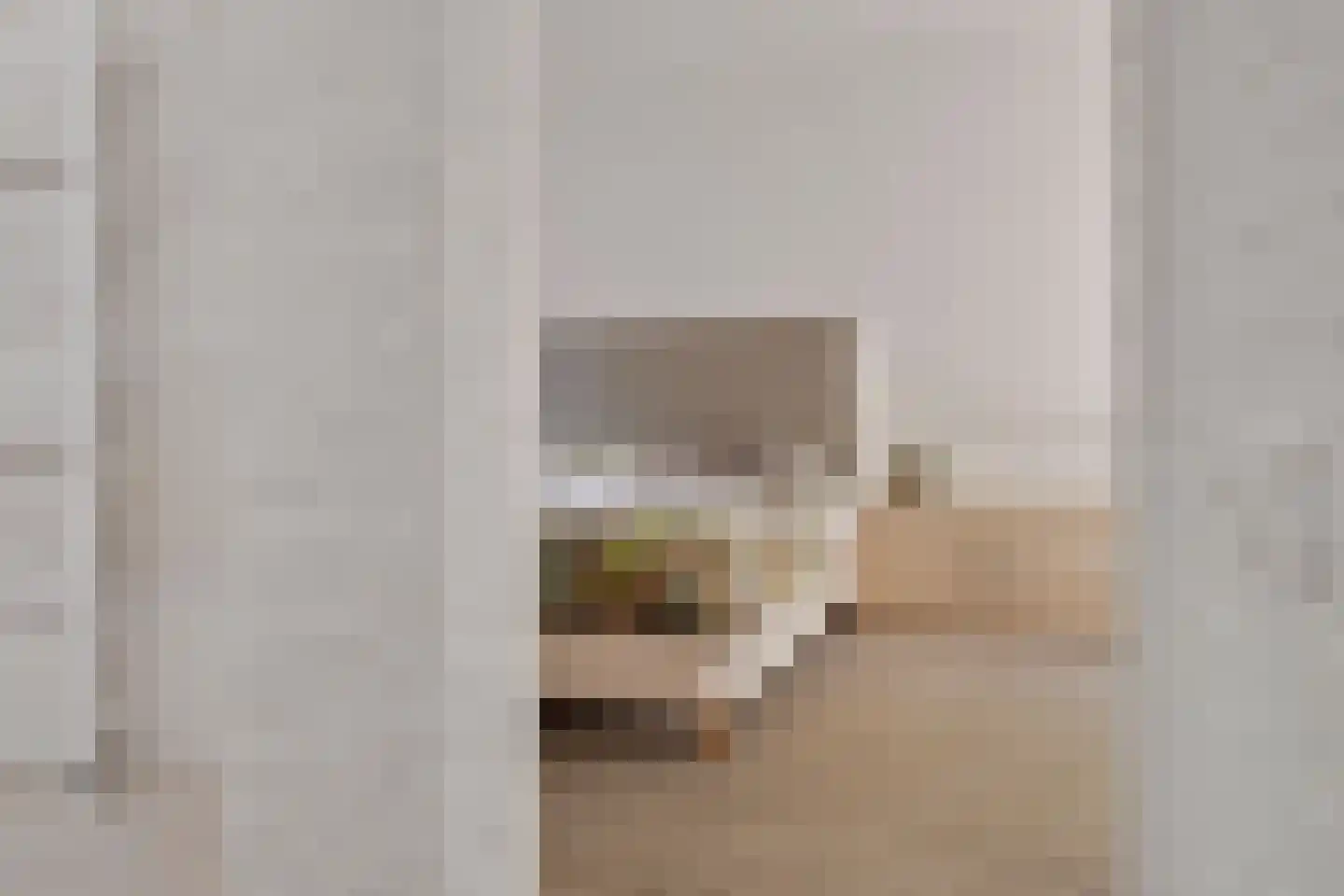 Diepenbrocklaan 4 Ede thumbnail 29