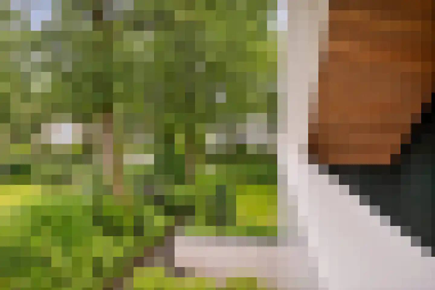 Diepenbrocklaan 4 Ede thumbnail 24