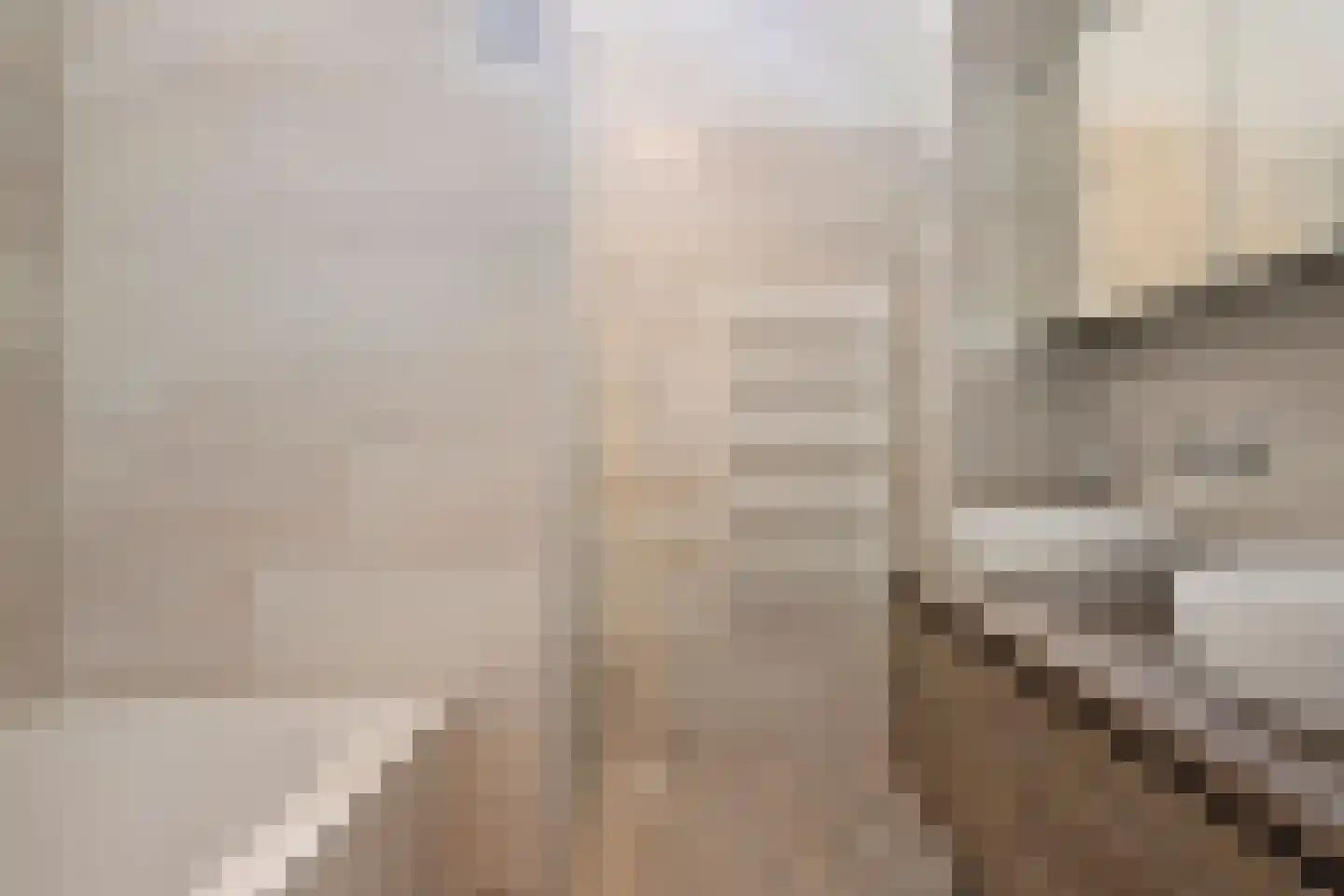 Diepenbrocklaan 4 Ede thumbnail 25