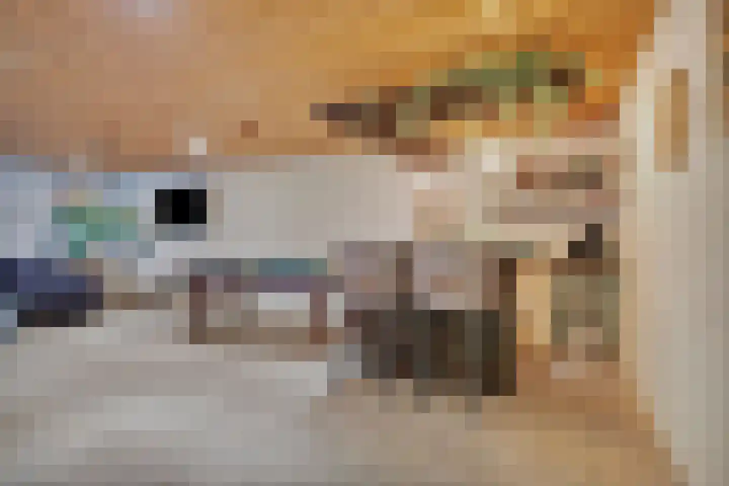 Diepenbrocklaan 4 Ede thumbnail 28