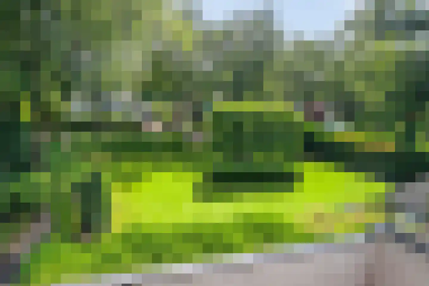 Diepenbrocklaan 4 Ede thumbnail 4