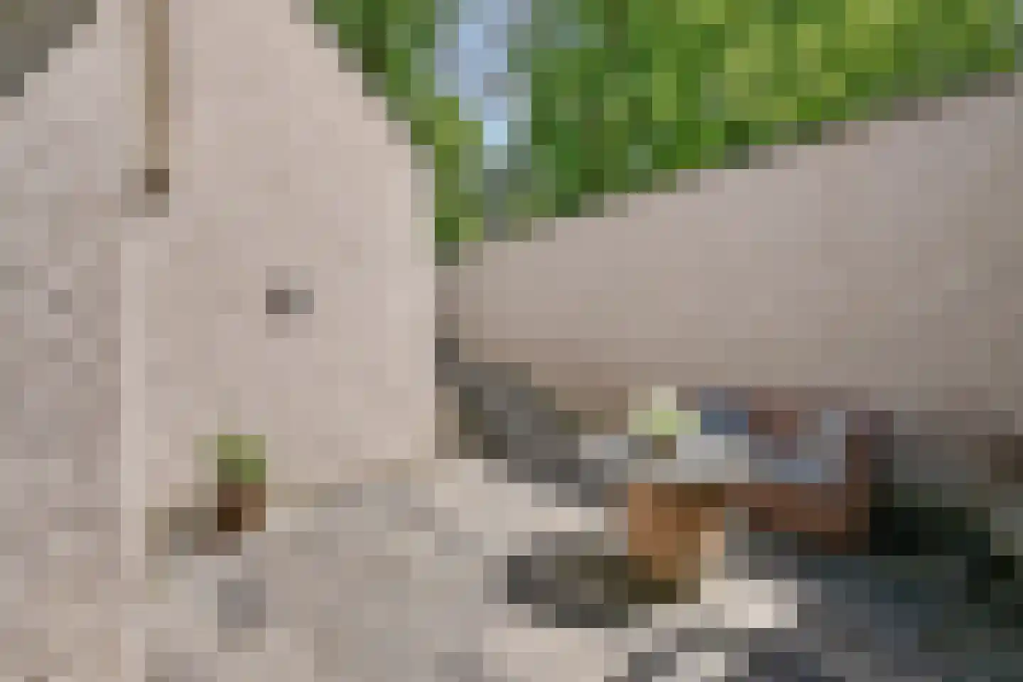 Diepenbrocklaan 4 Ede thumbnail 32