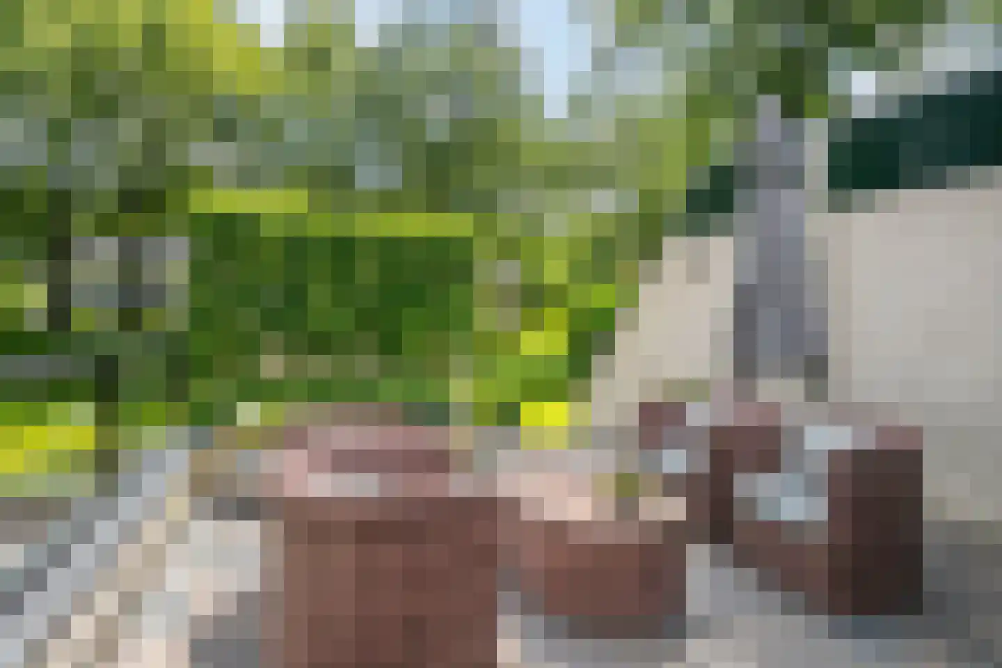 Diepenbrocklaan 4 Ede thumbnail 44